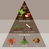 WHISKY DOUBLE • Coffret Eau de Toilette 100 ml, une serviette et un Money Clip • Parfum Homme - Evaflor Paris