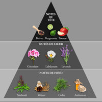 WHISKY BLACK OP • Eau de Toilette 100 ml • Parfum Homme - Evaflor Paris