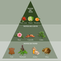 whisky origin eau de toilette 100 ml parfum homme evaflor