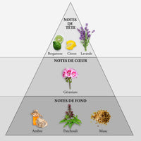 whisky spirit eau de toilette pour homme parfum evaflor paris