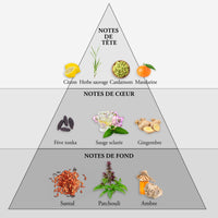 WHISKY SPORT • Coffret Eau de Toilette 100 ml, une serviette et un Money Clip • Parfum Homme - Evaflor Paris