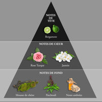 whisku sugar skull parfum homme evaflor paris